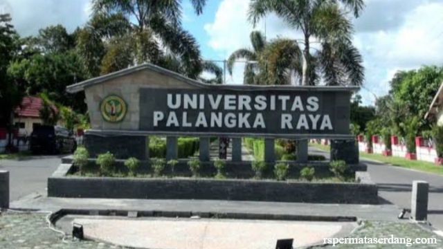 Berbagai Pilihan Universitas Terbaik Di Palangka Raya