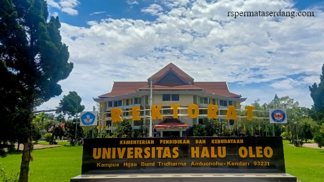 Rekomendasi Universitas untuk Jurusan Ilmu Pemerintahan